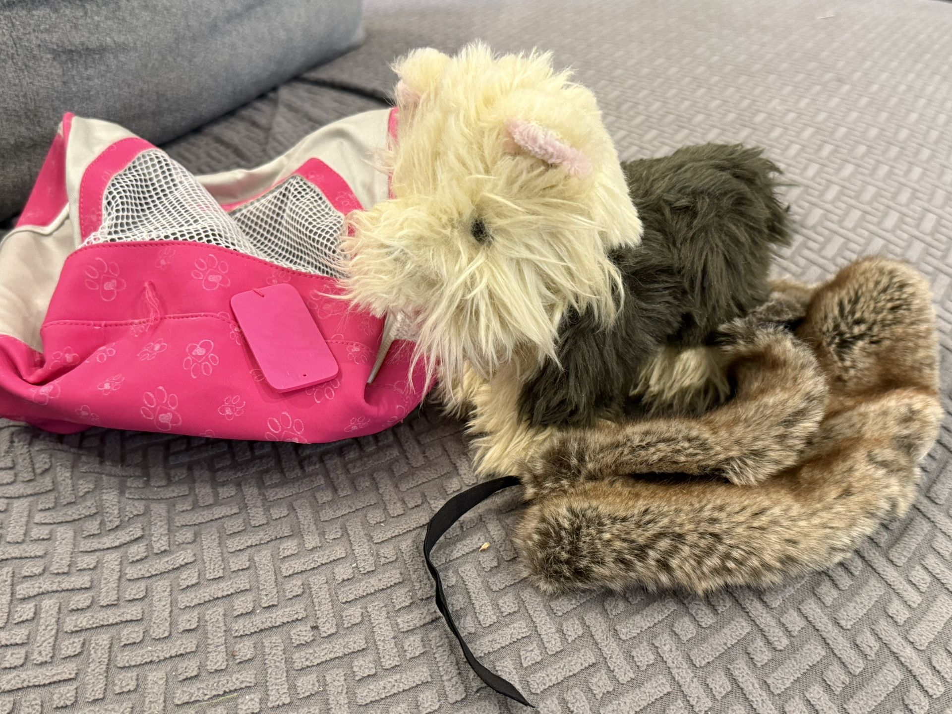 American Girl’s dog