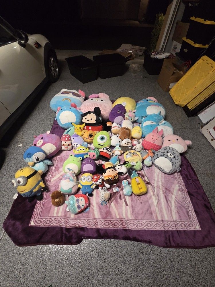 squishmallow Lot