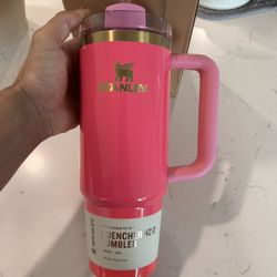 30oz Stanley ‘Pink Parade’