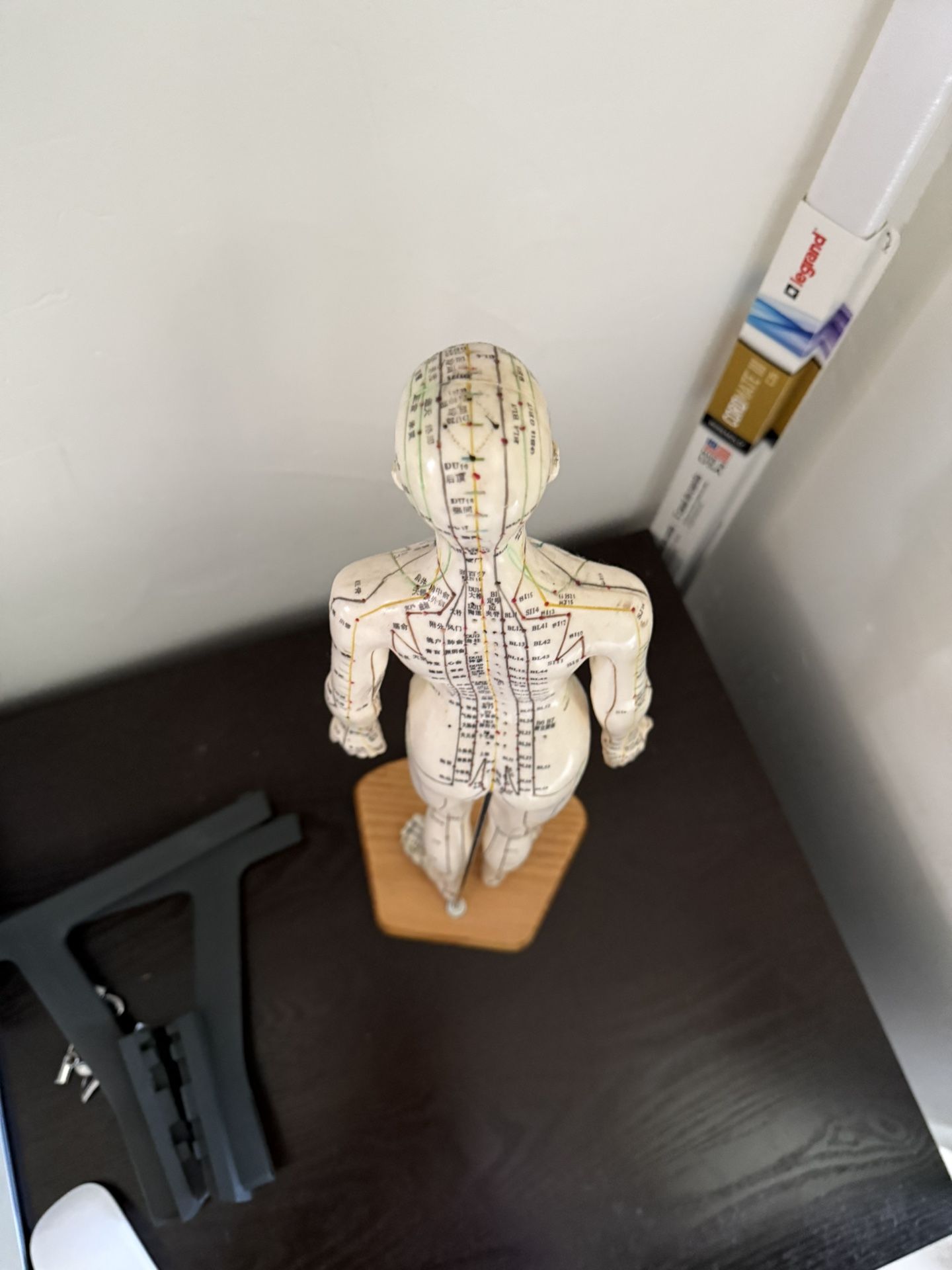 Traditional Chinese Medicine Two Dolls Acupuncture Points And A Ear