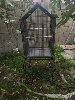 Birdcage