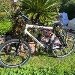 Mountain Bike