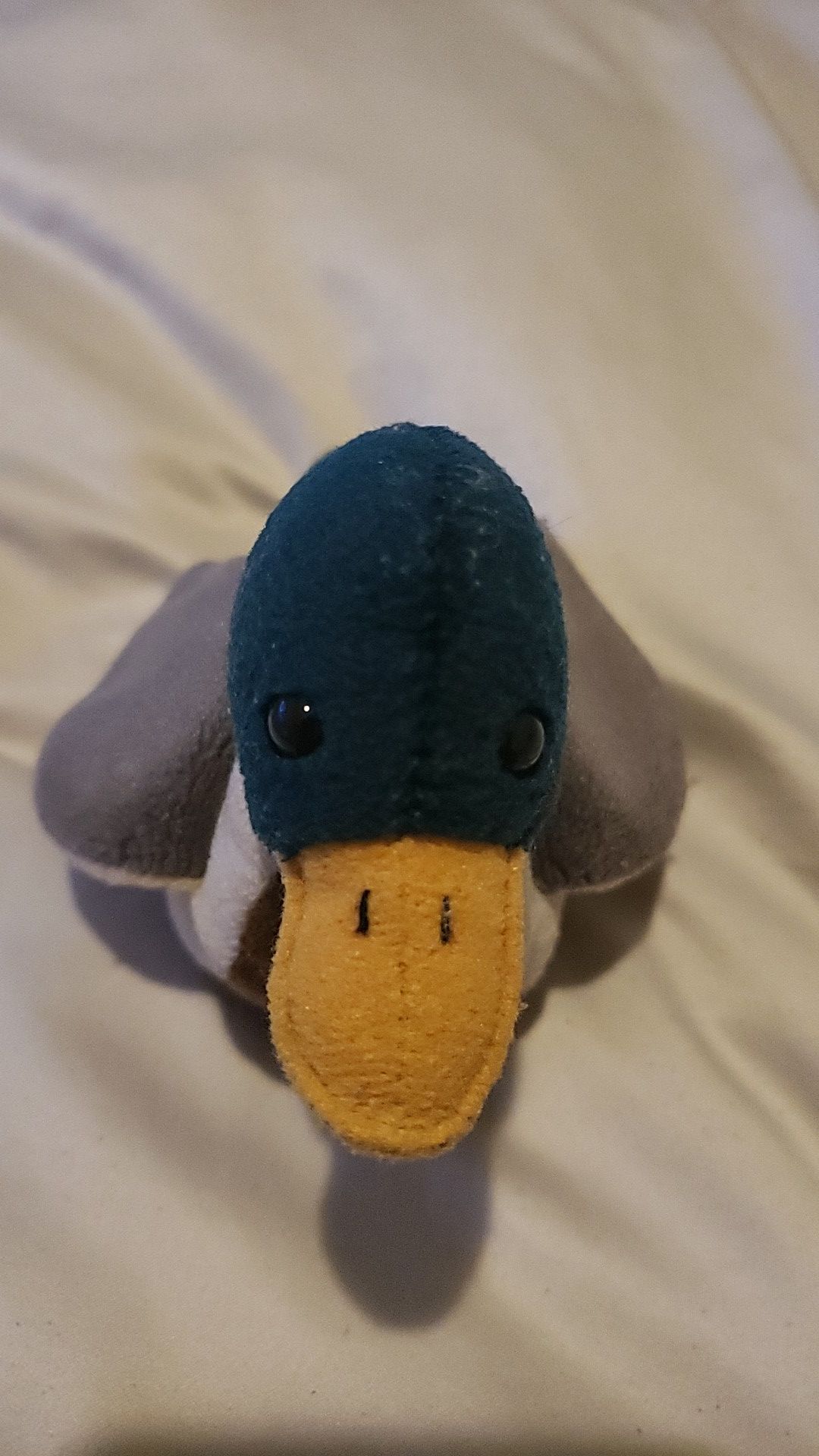 Jake the mallard duck beanie baby (no tag) faded. Make me an offer.