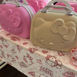 Hello Kitty Case 