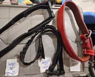 Belts