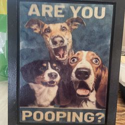 New Humorous “Are You Pooping” Wooden Wall Hanging.  8x10