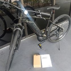 Giant Electric Bike
