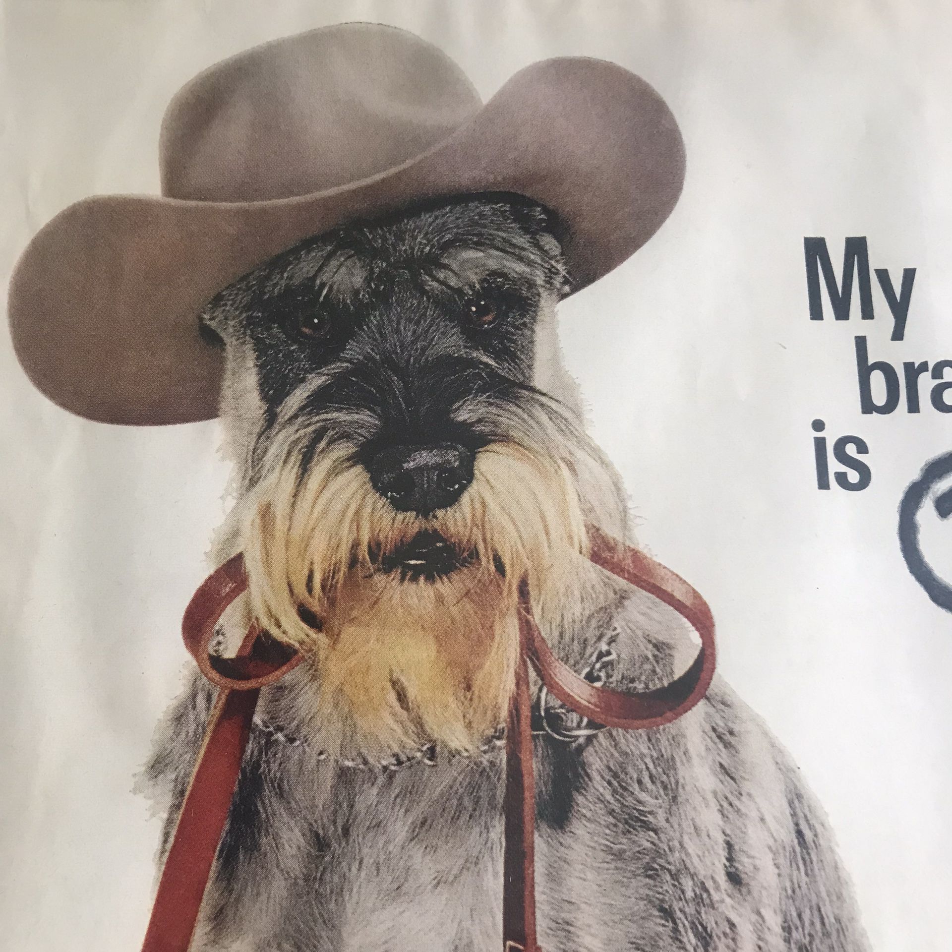Nostalgic Dog Food Advertisement Framed Wall Decor