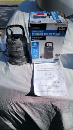 Everbilt 1/3 HP Automatic Utility Pump with Auto Shut Off