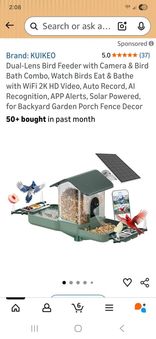 Bird Feeder With 2 Cameras