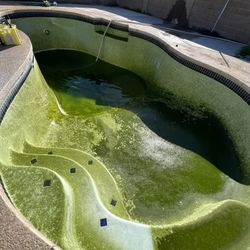 POOL CHLORINE RINSE / ACID RINSE 