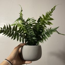 Fake Plant 