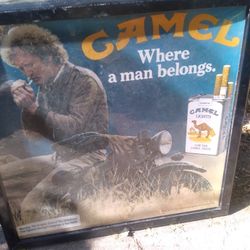 Vintage Camel Light Up Sign