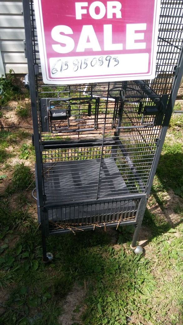 Seeing this bird cage the amount is 130 or greater supply