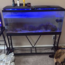 Aquarium For Sale