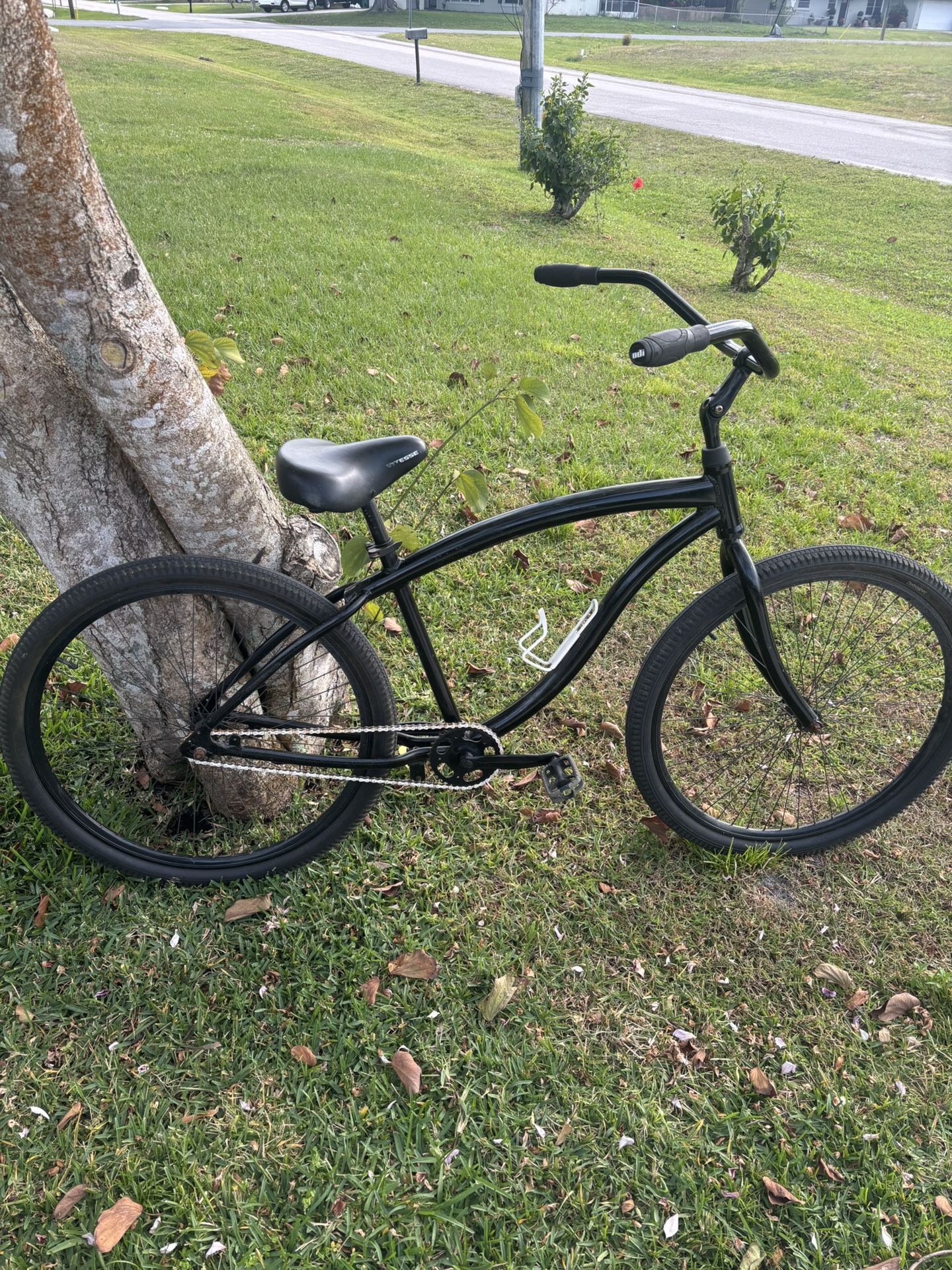 29” Beach Cruiser