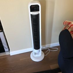 Fan