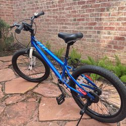 Royal Baby 20” Kids Bike
