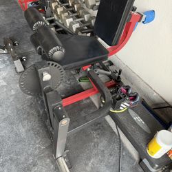 Leg Extension/ Leg Curl (Plate Loaded)