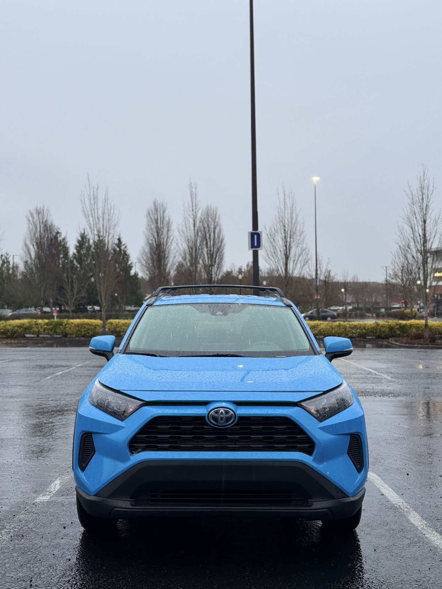 2021 Toyota Rav4 Hybrid