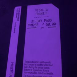 Bus Pass 50% Off