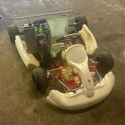 Birel Art Rotax junior go Kart