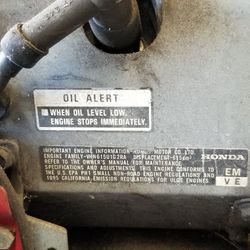 Generator Male Offer