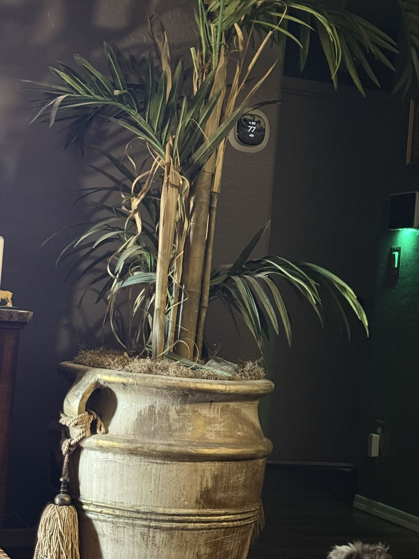 Palm Tree Planter