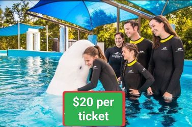 SeaWorld Tickets For Sea World San Diego, 1 Day Passes, Best Deals🐬🐬🐋🐋
