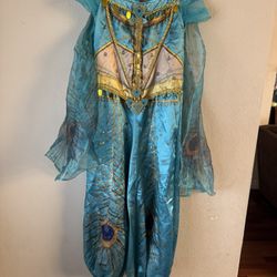 Jasmine From Disney Aladdin Costume