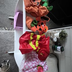 Medium Size Dog Clothes 