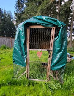 Cluck Cluck Coop Tractor