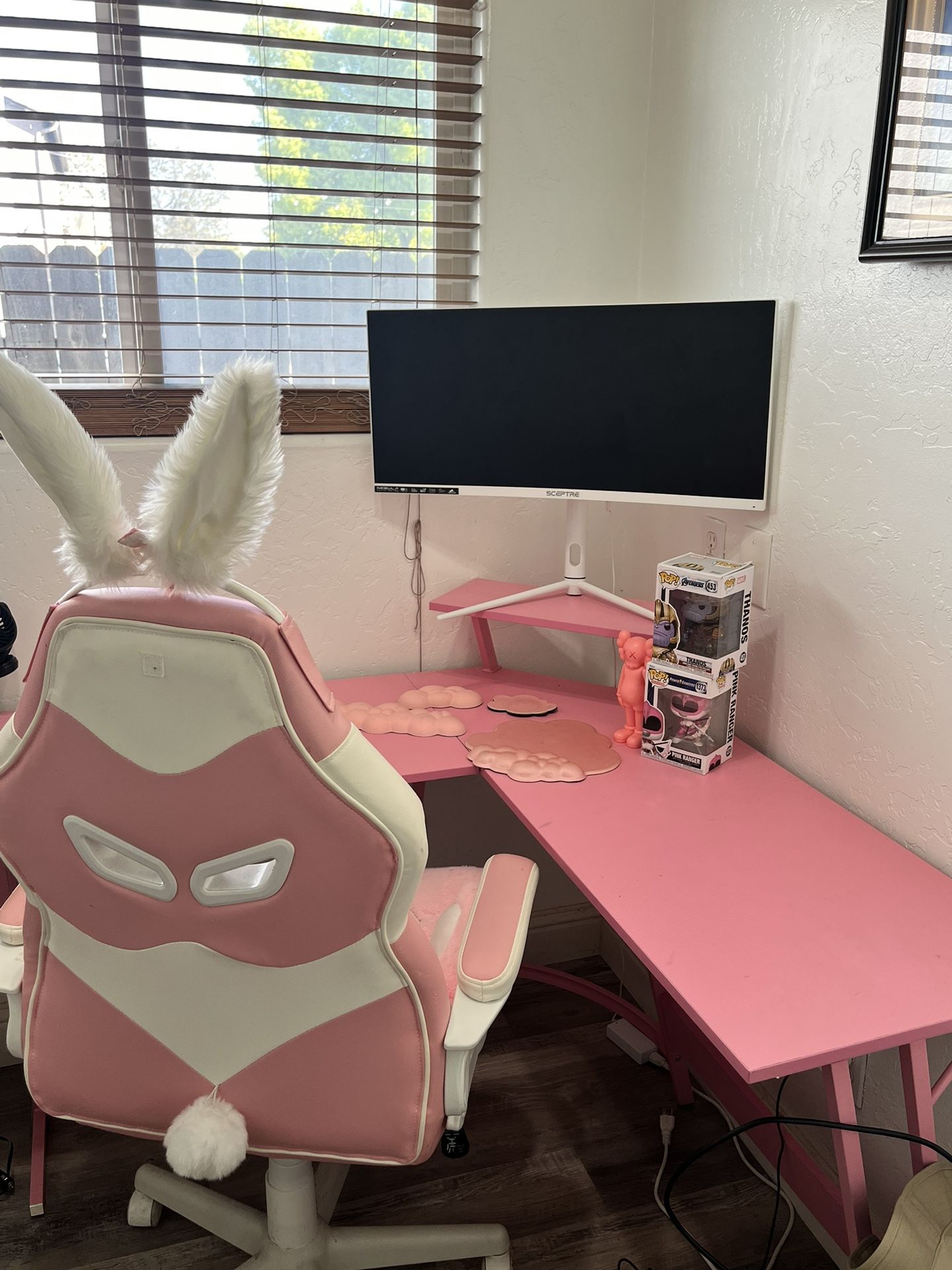 Gamin Desk Chair And Monitor