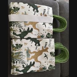 Dinosaur Party Bag Party Supplies