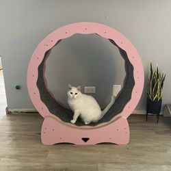 pink cat exercise wheel treadmill