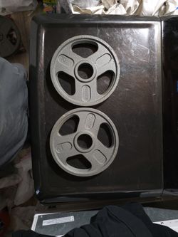 10lb Olympic Weights