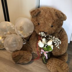 Teddy Bear    Perfect For Valentine’s Day