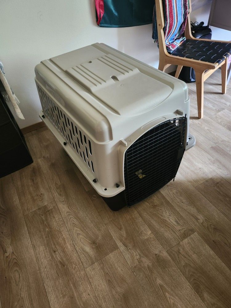 Kennel For Large Dog