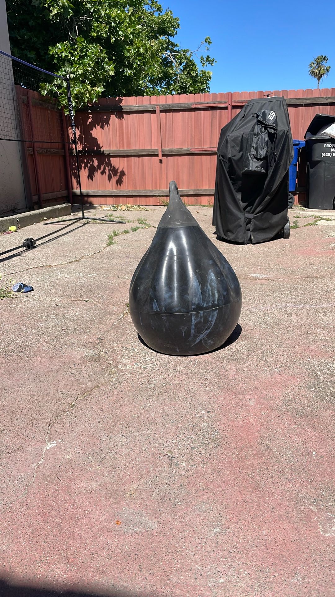 Punching Bag