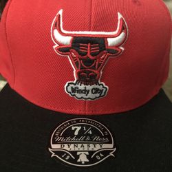 Bulls Cap