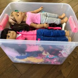 Tub full of Doll Stuff (dolls, clothes, accessories) all $60