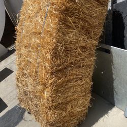 Hay
