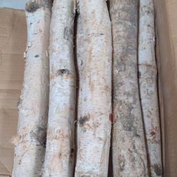 Wilson Enterprises Northern White Birch Logs, Set of 8-BRWH-B071HWDYR7