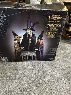 3 Witches.  Good Condition  They Talk Eyes Light Up And They Stir the Pot. Never Outside Great Condition