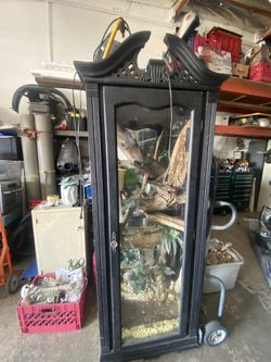 Ball Python morph cage with all decorations included