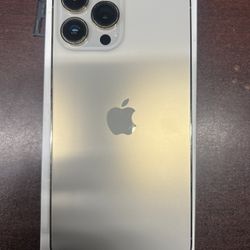 13 Pro Max