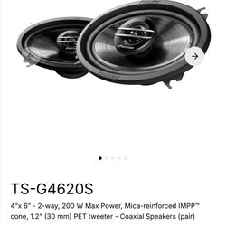 Pioneer TS-G4620S 