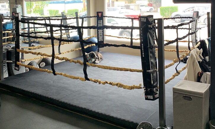Pro 12’ Title Boxing Ring Floor Level Fighting Training MMA Fight Muay Thai