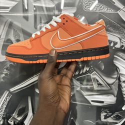 Dunk Low Orange Lobster