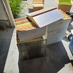 Behives - Apiary Starter Kit